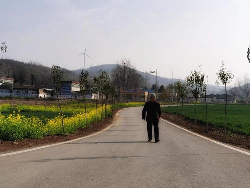 中原云裳牧場(chǎng) 魯山縣生態(tài)旅游新地標(biāo)，點(diǎn)亮東部文旅新版圖